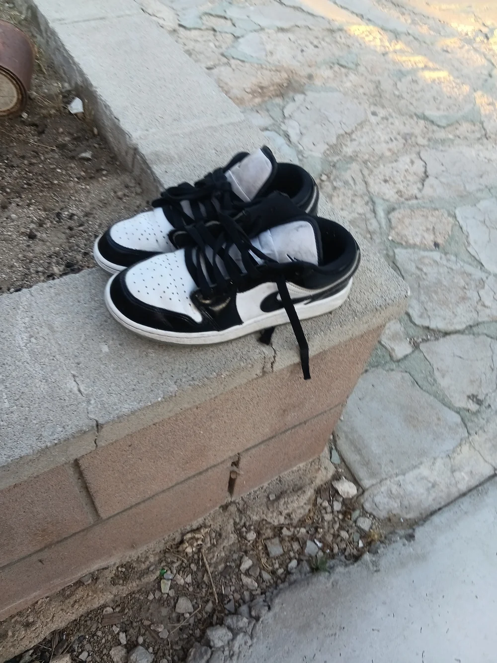 Jordan Low-Top Sneakers in Black and White